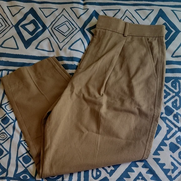 Everlane Tan Trousers with Straight-Leg Design - Picture 7 of 7